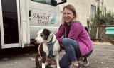 Dog Who Spent 472 Days In The Shelter Gets Adopted During Adoption Event