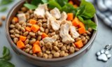 A New Approach to Dog Health? – The Dogington Post