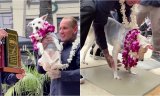 Surfing Dog Gets Inducted Into Surfer’s Hall Of Fame In California