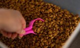 FDA Issues Warning Letter To Mid America Pet Food LLC Due To Salmonella In Their Dog Foods