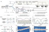 On-Chip Microcomb For Optoelectronics